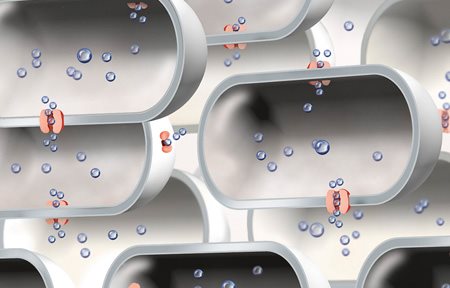 Илюстрация на ограничен брой аквапорини.