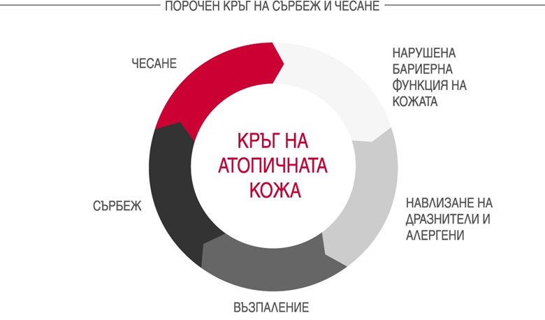 Кръг на атопичния дерматит (също познат като порочен кръг на сърбеж и чесане)